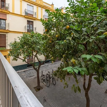 Lejlighed Wide With Beautiful Kitchen 2bd 3bth -arenal