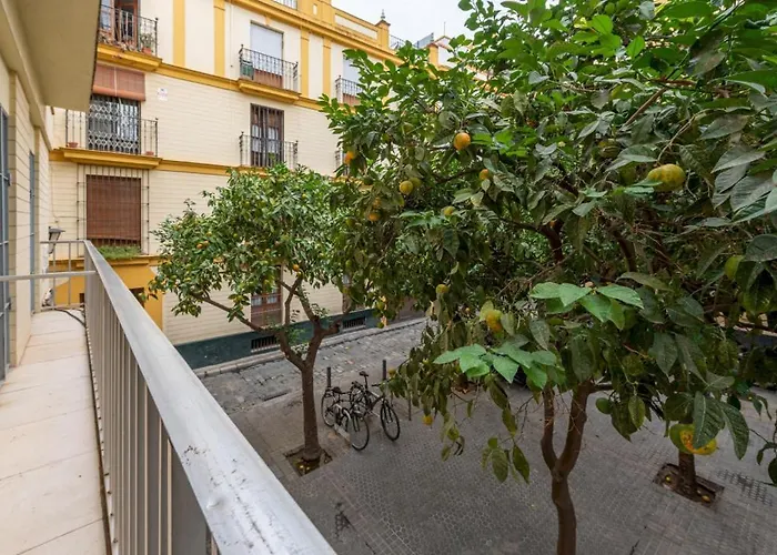 Lejlighed Wide With Beautiful Kitchen 2bd 3bth -arenal